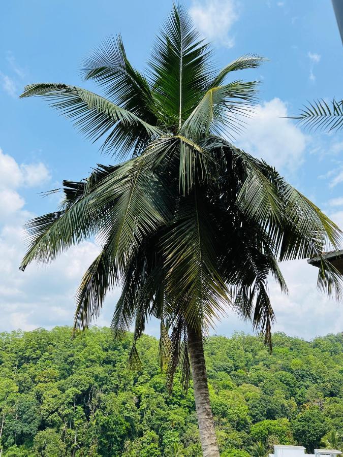 Hansons Homestay كاندي المظهر الخارجي الصورة
